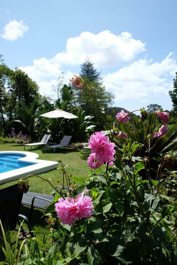Pink House Azores Ponta Delgada  Bagian luar foto